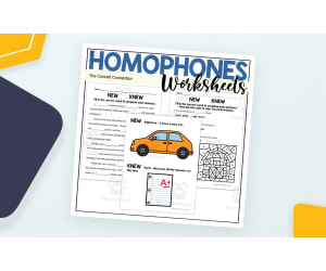 Knew vs New Homophones – Worksheet Pack