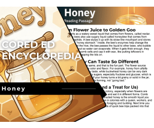 Honey Reading Comprehension Passage - Cored Ed Encyclopedia