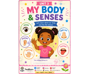👀👂👃👅✋ How Do We Explore the World Around Us? | Grade 1 My Body & S