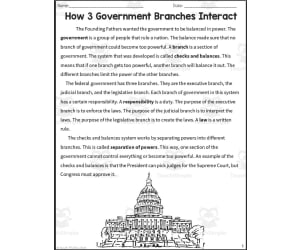 How Government Branches Interact Reading Packet