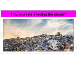 How is Waste Affecting the Planet