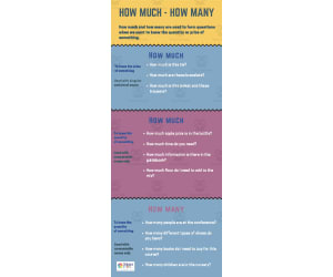 How Much? How Many? | Beginner Lesson Plan