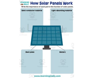 How Solar Panels Work Activity