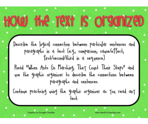 How the Text is Organized Activity