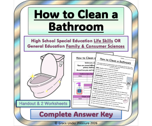 How to Clean a Bathroom: High School Life Skills & Home Economics