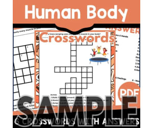 Human Body Crossword: 1 Page Sample (PDF)