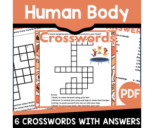 Human Body Crosswords (PDF)