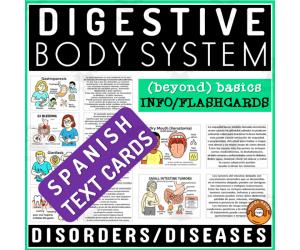 Human Body Flashcard Digestive System Disorders Diseases Spanish
