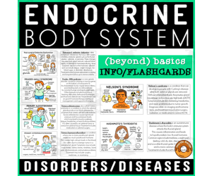Human Body Flashcard Endocrine System Disorders Diseases Health