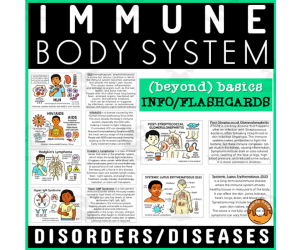 Human Body Flashcard Immune System Disorders Diseases Health