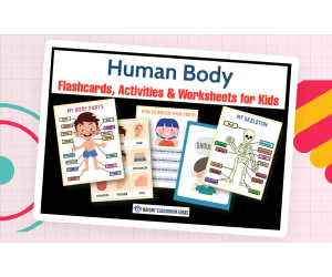 Human Body Flashcards, Activities & Worksheets for Kids