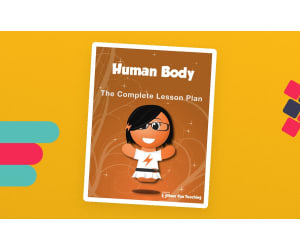 Human Body Lesson Plan