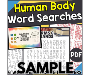 Human Body Word Search: 1 Page Sample (PDF)