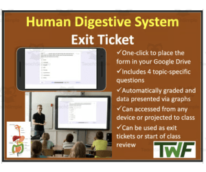 Human Digestive System - Digital Exit Ticket and Review Activity