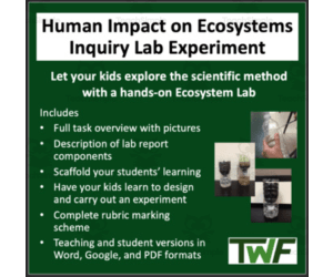Human Impact on Ecosystems Inquiry Lab Experiment: Ecobottles Lab