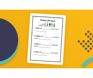 Human Life Cycle Worksheet – Reflection & Stages