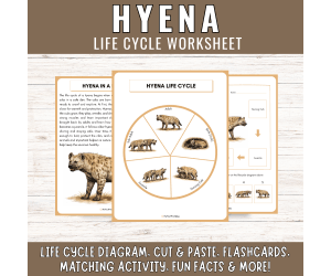 Hyena Life Cycle: African Savanna Mammal Animal Unit Study & Fun Facts