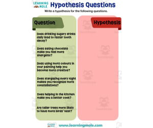 Hypothesis Questions Activity