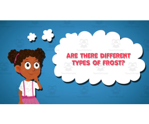 I WONDER - Are There Different Types Of Frost | Animated Video Lesson