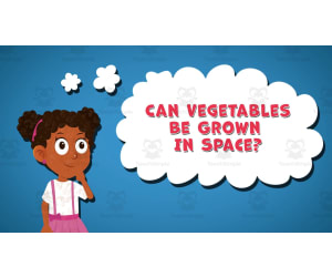 I WONDER - Can Vegetables Be Grown In Space | Animated Video Lesson