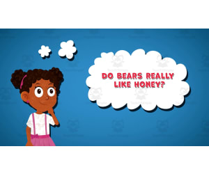 I WONDER - Do Bears Really Like Honey | Animated Video Lesson