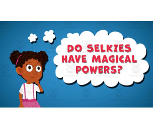 I WONDER - Do Selkies Have Magical Powers | Animated Video Lesson