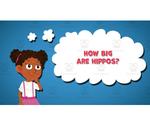 I WONDER - How Big Are Hippos | Animated Video Lesson