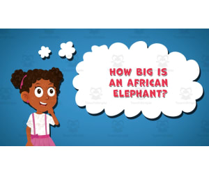 I WONDER - How Big Is An African Elephant | Animated Video Lesson