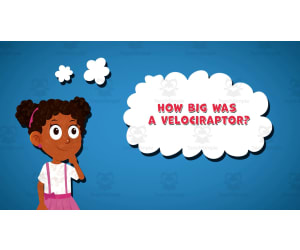 I WONDER - How Big Was A Velociraptor | Animated Video Lesson