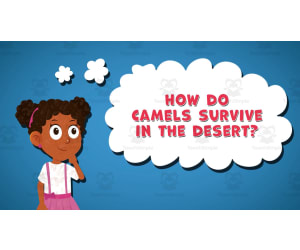 I WONDER - How Do Camels Survive In The Desert | Animated Video Lesson