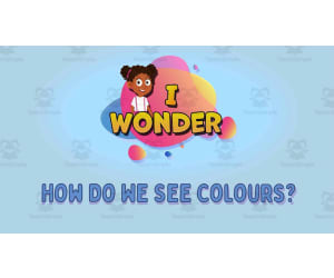 I WONDER - How Do We See Colours  | Animated Video Lesson