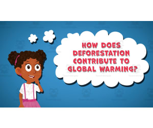 I WONDER - How Does Deforestation Contribute To Global Warming