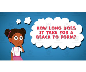 I WONDER - How Long Does It Take For A Beach To Form | Animated Video