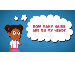 I WONDER - How Many Hairs Are On My Head | Animated Video Lesson