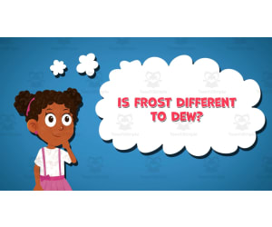 I WONDER - Is Frost Different To Dew | Animated Video Lesson