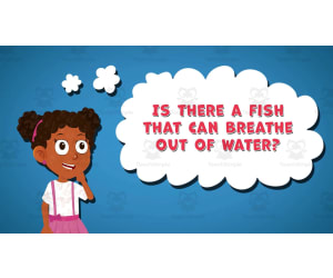 I WONDER - Is There A Fish That Can Breathe Out Of Water