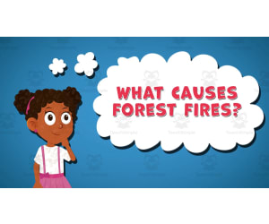 I WONDER - What Causes Forest Fires | Animated Video Lesson