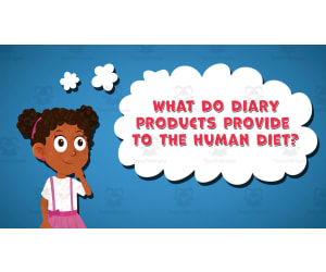 I WONDER - What Do Diary Products Provide To The Human Diet