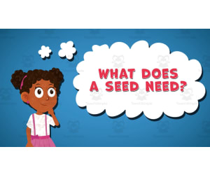 I WONDER - What Does A Seed Need | Animated Video Lesson