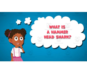 I WONDER - What Is A Hammer Head Shark | Animated Video Lesson