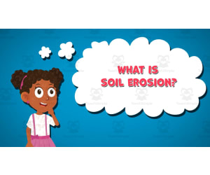 I WONDER - What Is Soil Erosion | Animated Video Lesson
