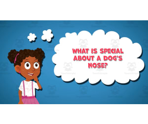 I WONDER - What Is Special About A Dogs Nose | Animated Video Lesson