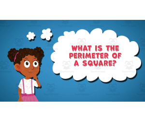 I WONDER - What Is The Perimeter Of A Square | Animated Video Lesson
