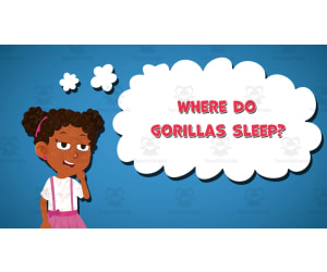 I WONDER - Where Do Gorillas Sleep | Animated Video Lesson