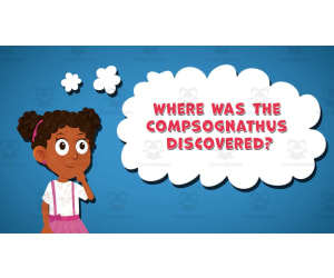 I WONDER - Where Was The Compsognathus Discovered | Animated Video