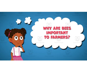 I WONDER - Why Are Bees Important To Farmers | Animated Video Lesson
