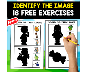 IDENTIFY THE CORRECT IMAGE | 16 FREE EXERCISES