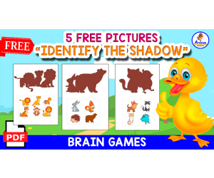 IDENTIFY THE SHADOW | 5 FREE EXERCISES