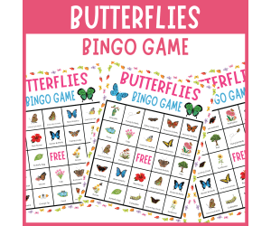 Identifying Butterflies Species Insect Bingo Game Nature Activities