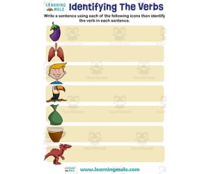 Identifying the Verbs Activity